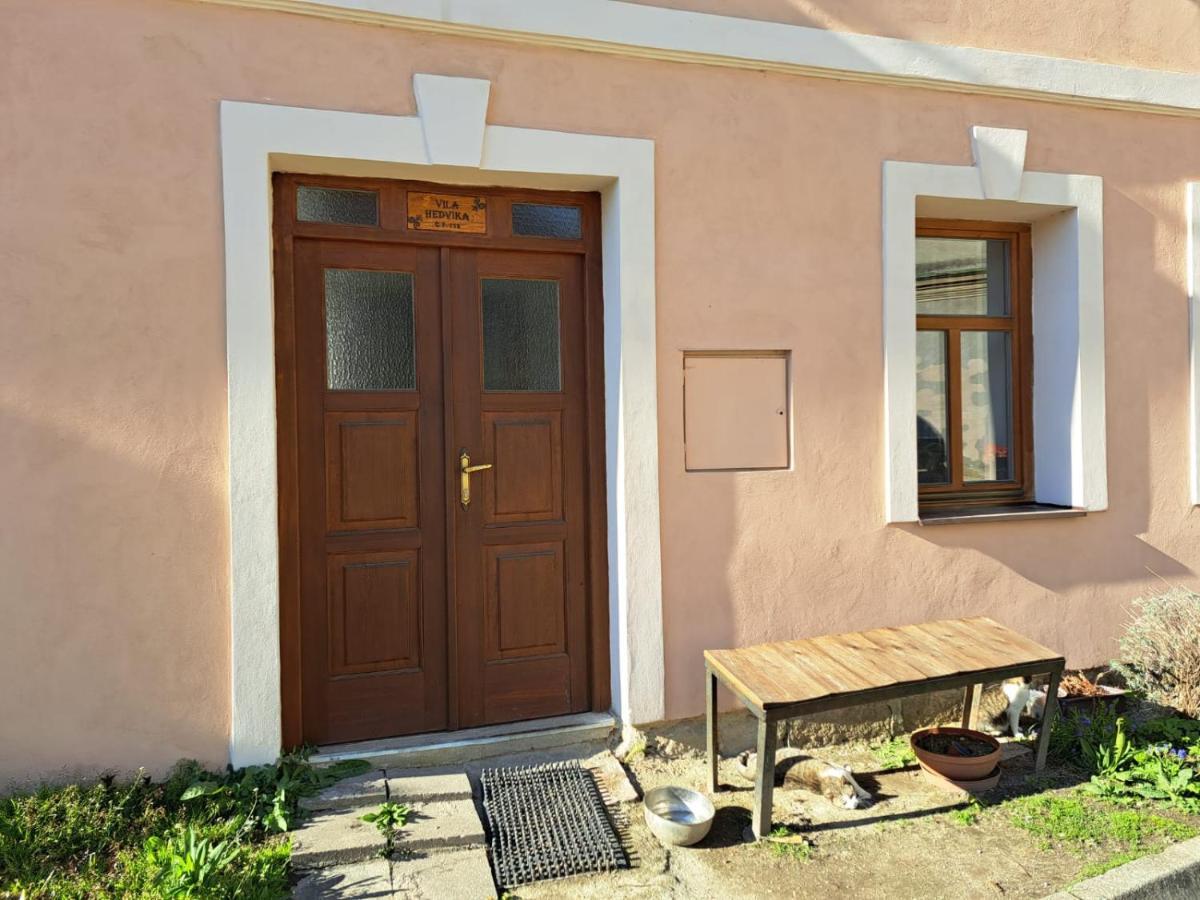 Vila Hedvika Nové Hrady 외부 사진